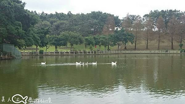 2015志清湖林口體大19.jpg