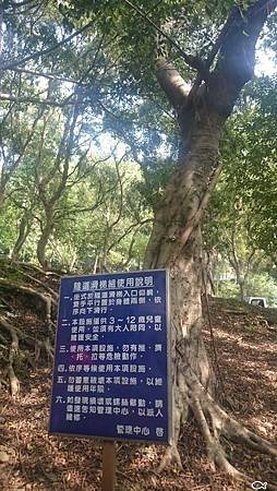 奧爾森學堂桃園虎頭山13.jpg