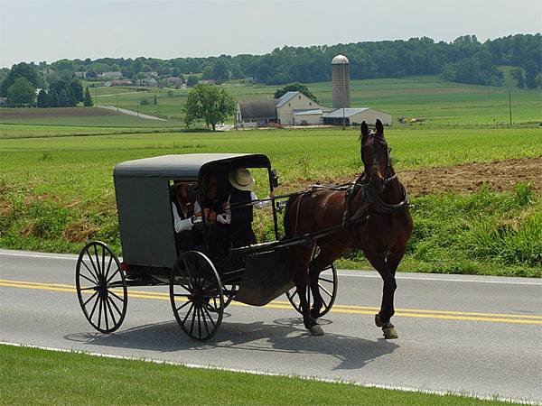 Amish 馬車收成旁有穀倉2.jpg