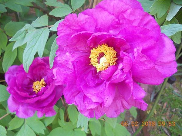 DSCN0062
