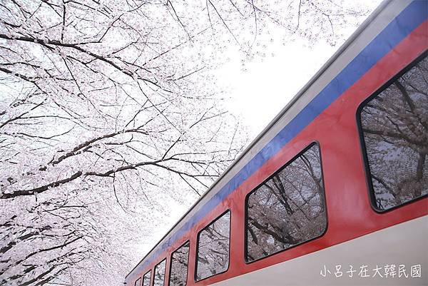 littleluiinkr-0331c.jpg