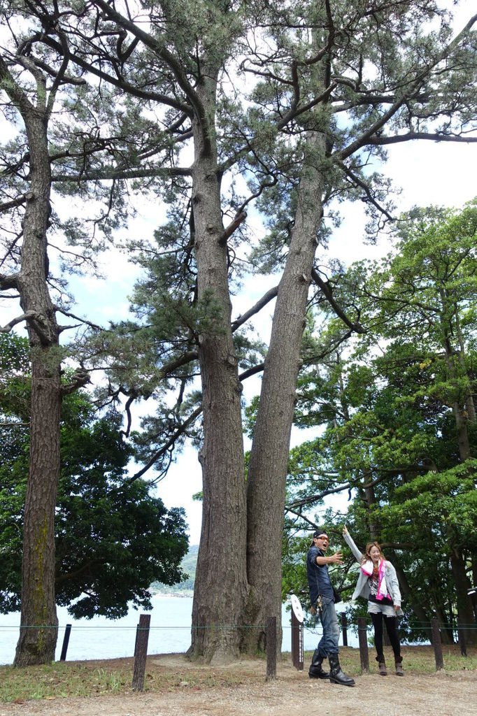 2015夏-關西廣域pass之旅DAY3-天橋立、伊根町