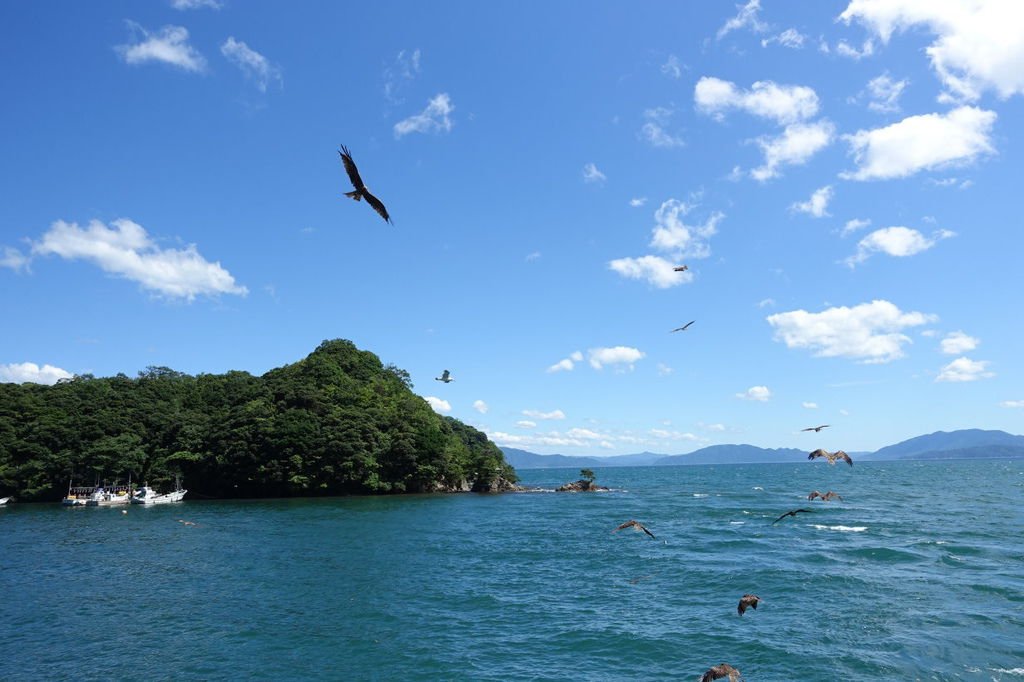 2015夏-關西廣域pass之旅DAY3-天橋立、伊根町