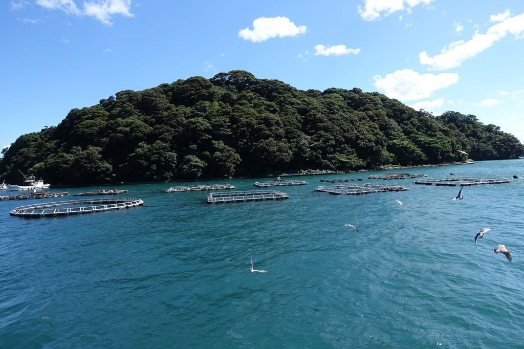 2015夏-關西廣域pass之旅DAY3-天橋立、伊根町