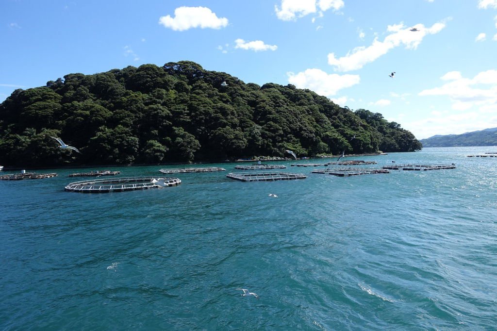 2015夏-關西廣域pass之旅DAY3-天橋立、伊根町