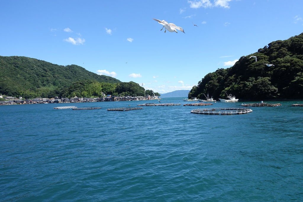 2015夏-關西廣域pass之旅DAY3-天橋立、伊根町