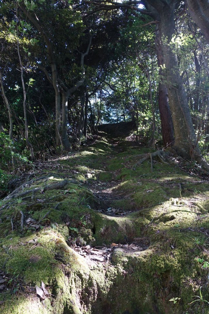 2015夏-關西廣域pass之旅DAY3-天橋立、伊根町