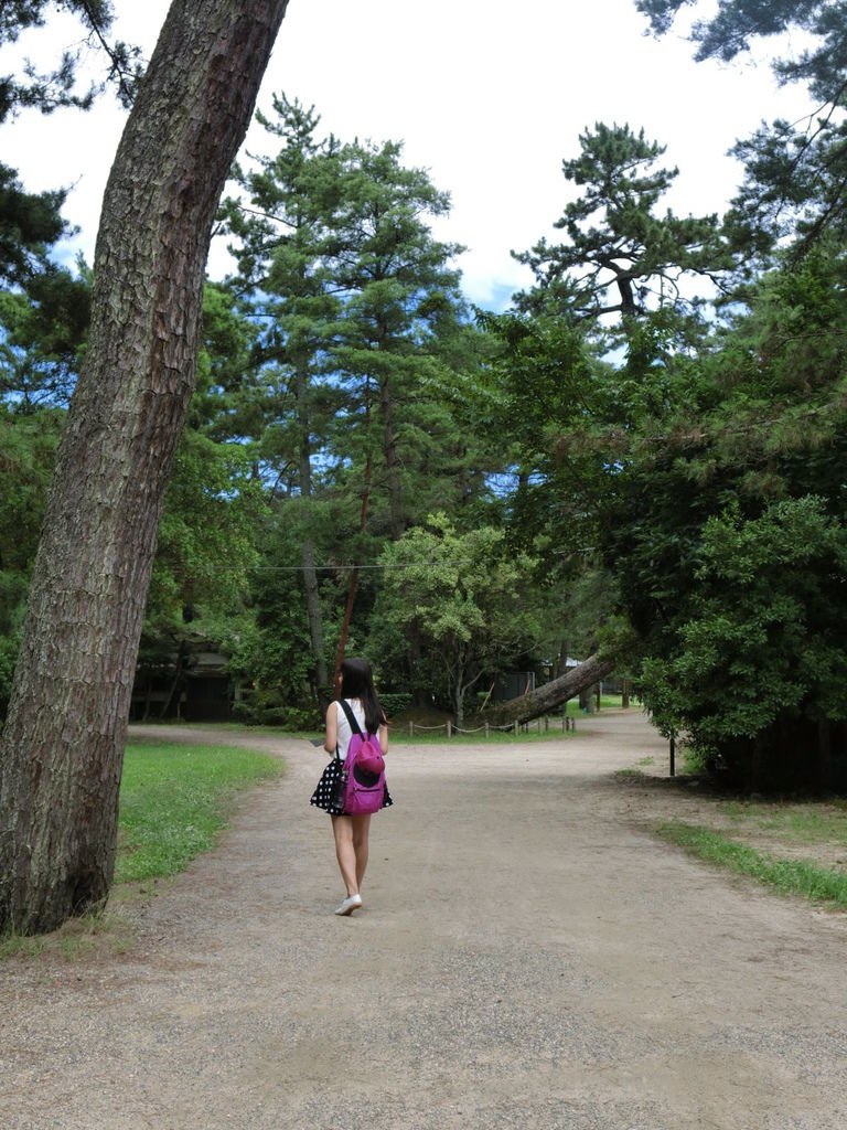 2015夏-關西廣域pass之旅DAY3-天橋立、伊根町