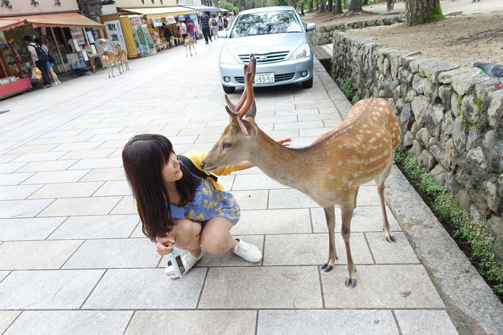 2015夏-關西廣域PASS之旅DAY6-奈良