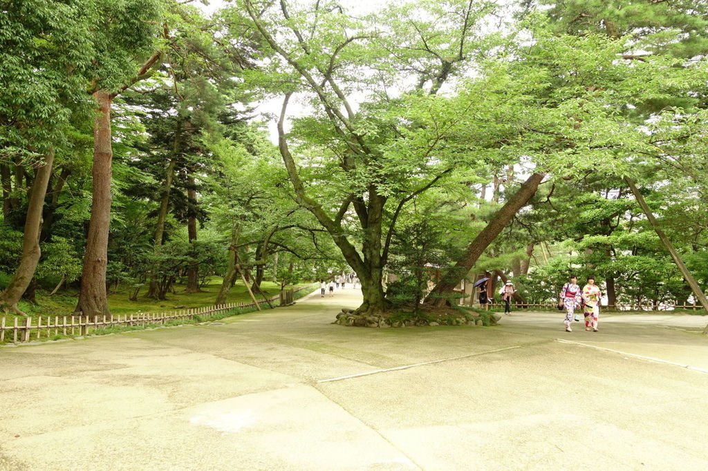 2017夏-日本關西北陸PASS之旅DAY7上-金澤兼六園、