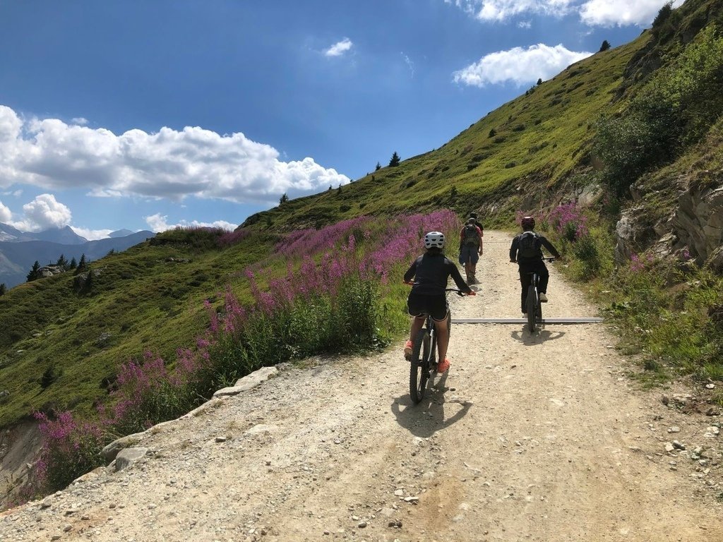 2022夏~瑞德法之旅~阿爾卑斯山脈最大冰川--阿萊奇冰川A