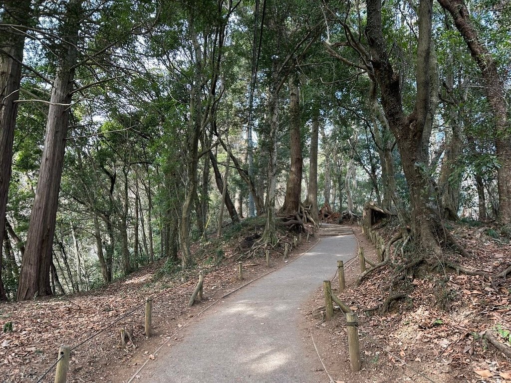 2023冬-東京周邊之旅day6-前往東京近郊之高尾山觀賞富