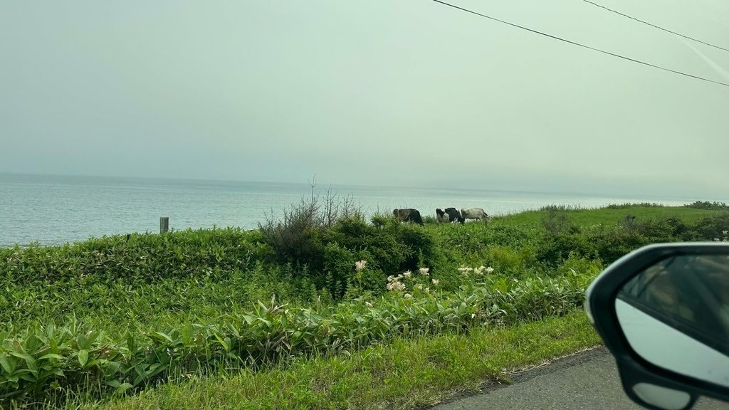 2024夏-北海道東北遊day6-前往知床半島、住宿溫泉旅館