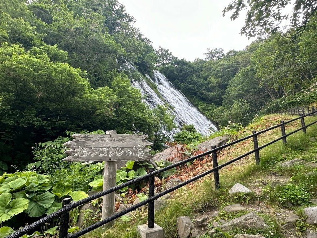 2024夏-北海道東北遊day6-前往知床半島、住宿溫泉旅館