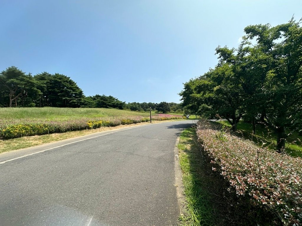 2024夏東日本之旅day4-茨城縣國營常陸海濱公園&amp;偕樂園