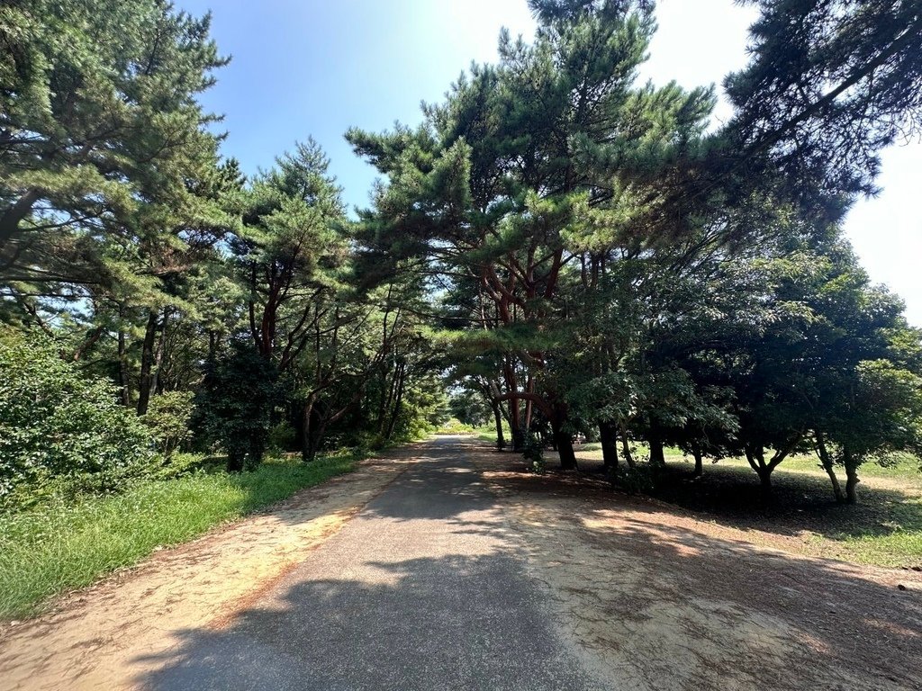 2024夏東日本之旅day4-茨城縣國營常陸海濱公園&amp;偕樂園