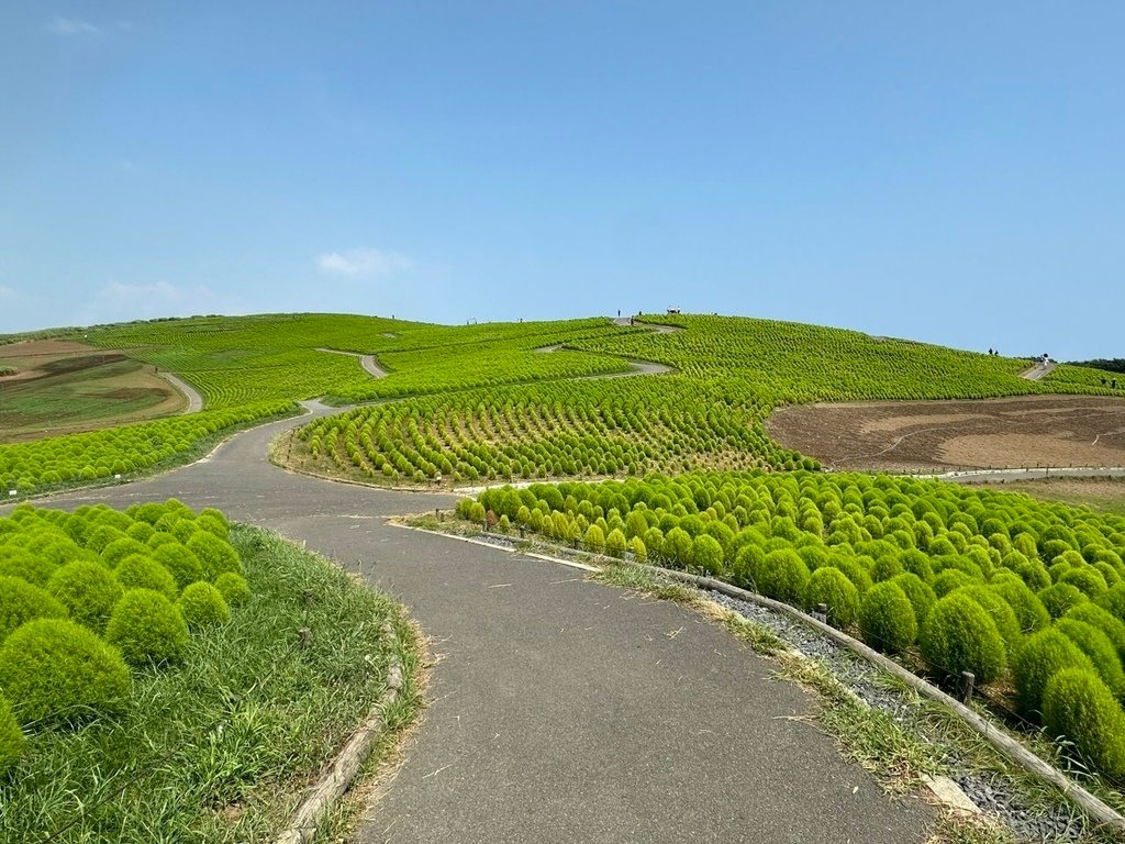 2024夏東日本之旅day4-茨城縣國營常陸海濱公園&amp;偕樂園