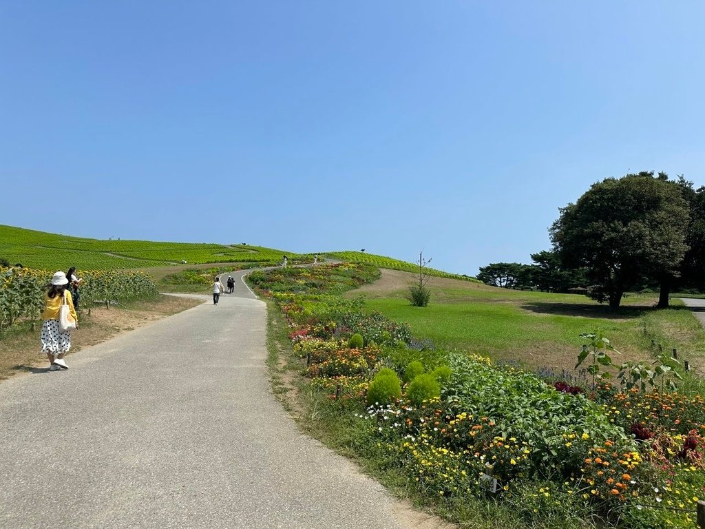 2024夏東日本之旅day4-茨城縣國營常陸海濱公園&amp;偕樂園