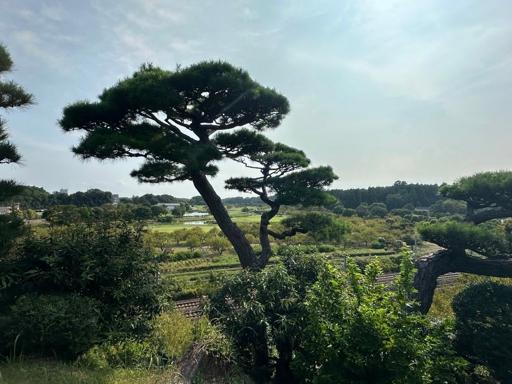 2024夏東日本之旅day4-茨城縣國營常陸海濱公園&amp;偕樂園