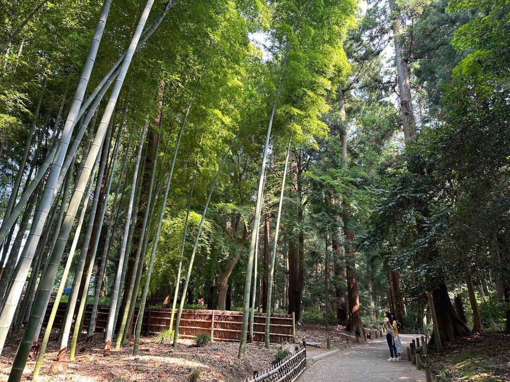 2024夏東日本之旅day4-茨城縣國營常陸海濱公園&amp;偕樂園
