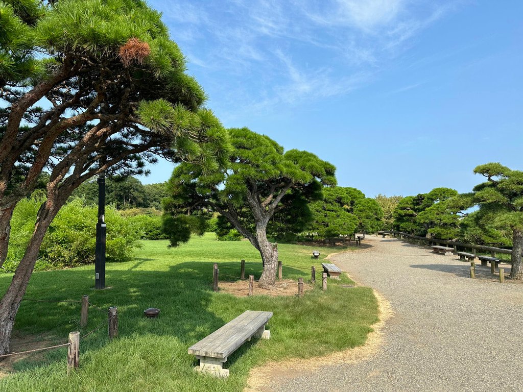2024夏東日本之旅day4-茨城縣國營常陸海濱公園&amp;偕樂園