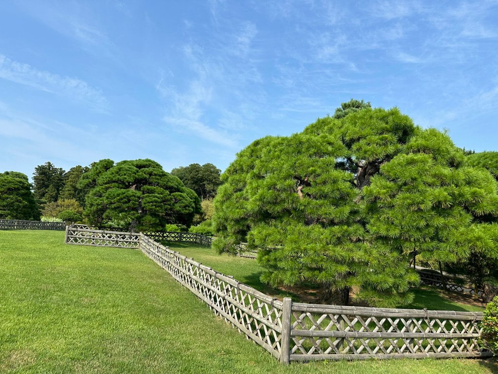 2024夏東日本之旅day4-茨城縣國營常陸海濱公園&amp;偕樂園