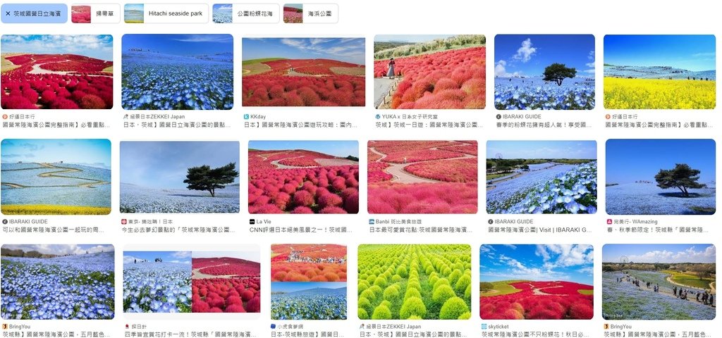 2024夏東日本之旅day4-茨城縣國營常陸海濱公園&amp;偕樂園