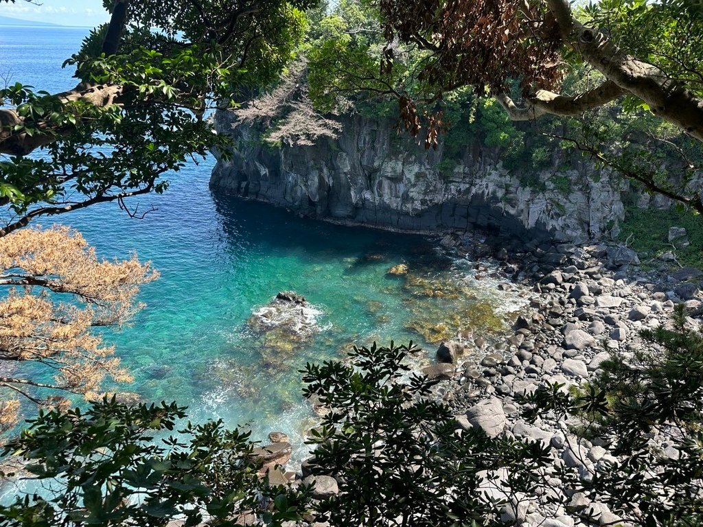 2024夏東日本之旅day5-伊豆半島之大室山、城崎海岸