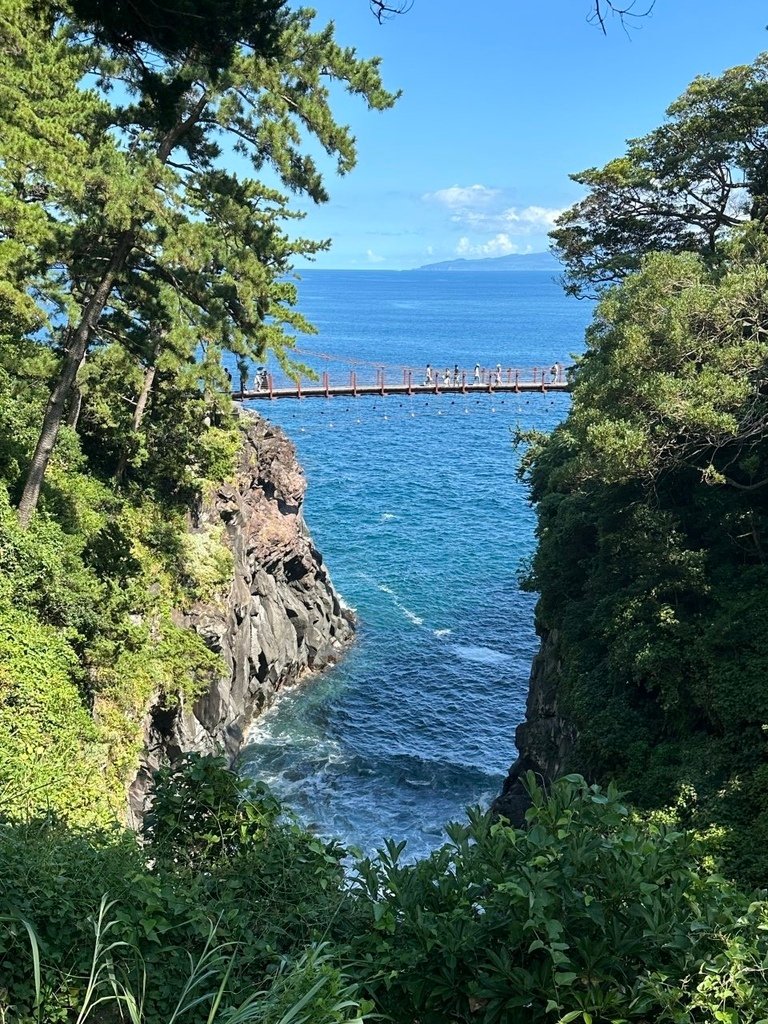 2024夏東日本之旅day5-伊豆半島之大室山、城崎海岸