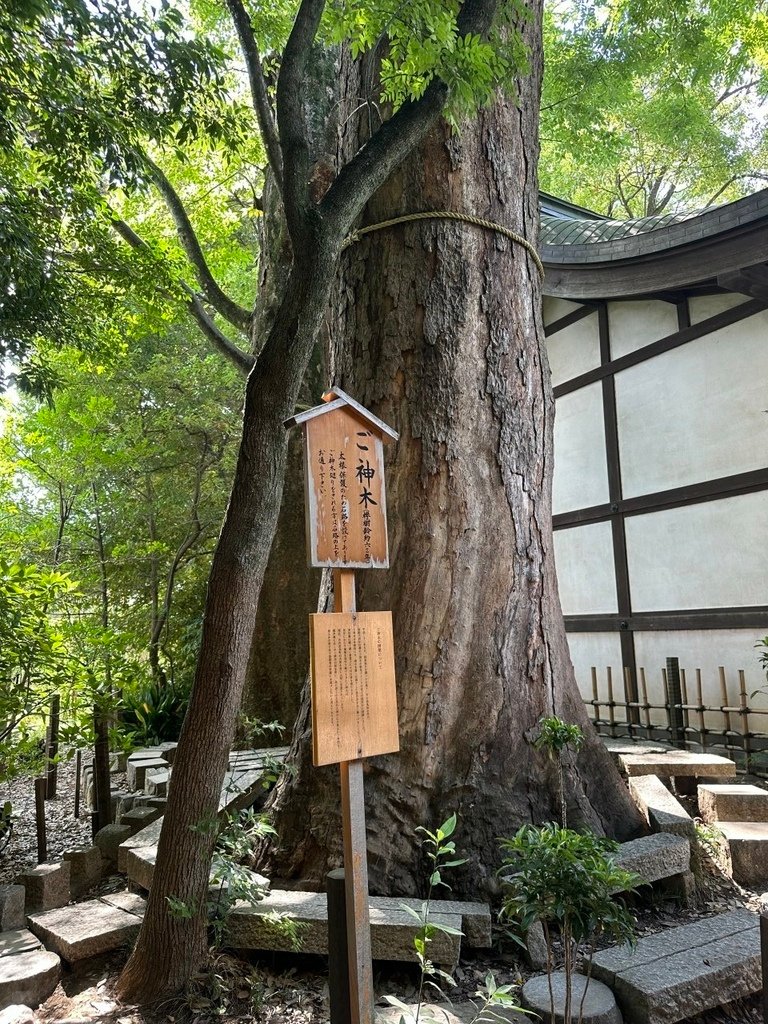 2024夏東日本之旅day6-小江戶川越、越後湯澤清酒博物館