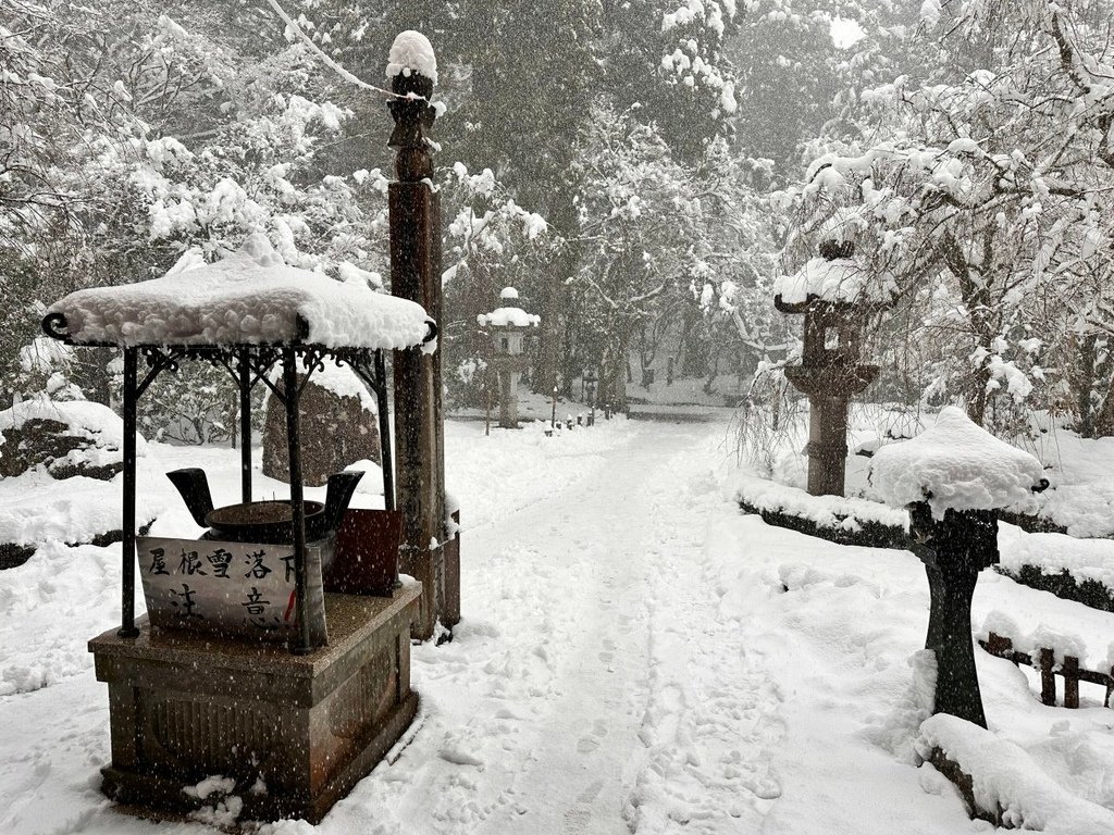 2025冬-北陸京阪旅day5-大雪中的金澤兼六園&amp;加賀溫泉