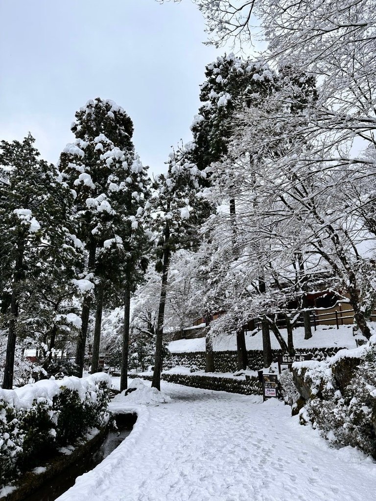 2025冬-北陸京阪旅day5-大雪中的金澤兼六園&amp;加賀溫泉