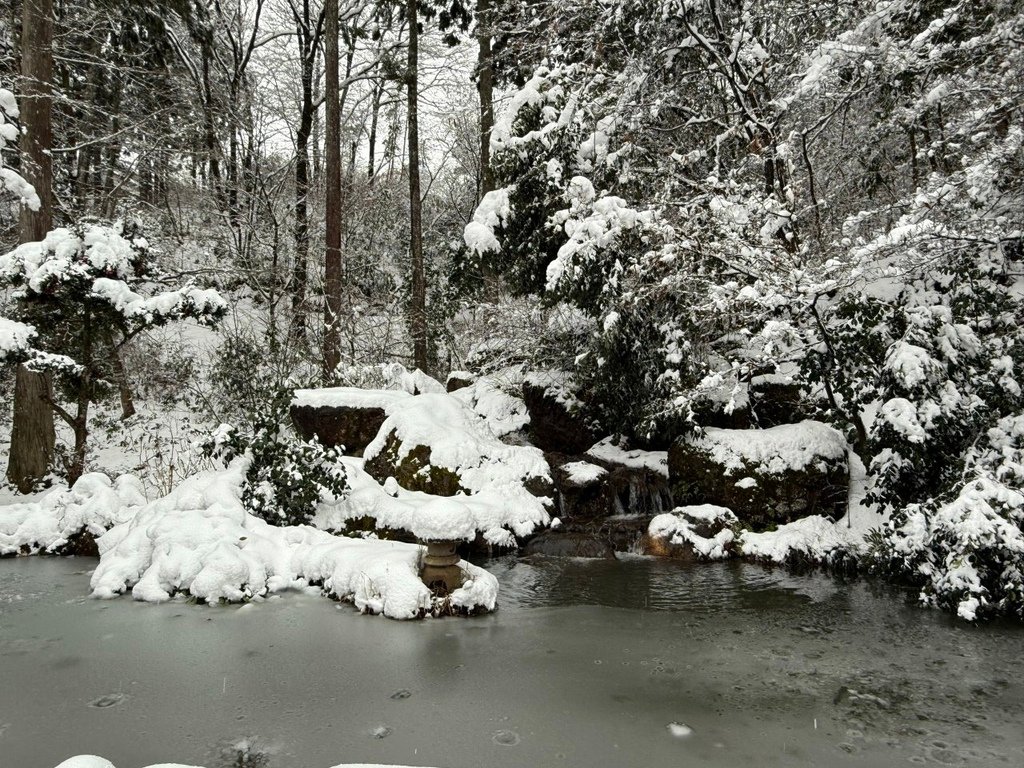 2025冬-北陸京阪旅day5-大雪中的金澤兼六園&amp;加賀溫泉