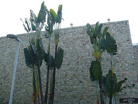 P1010333.JPG