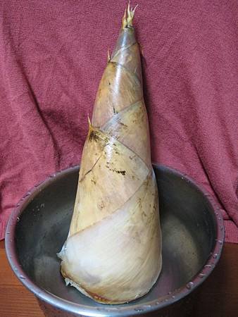 竹筍粥