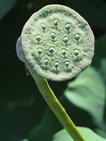 IMG_1119.jpg