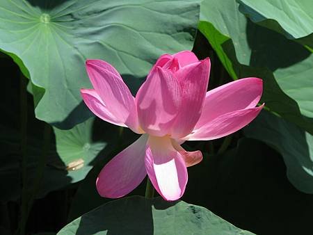 IMG_1205.jpg
