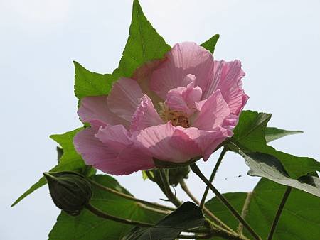 IMG_1298.jpg