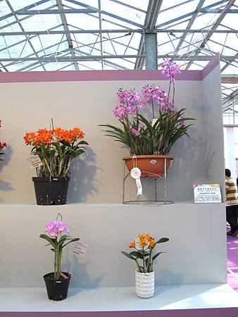 2012台灣蘭展