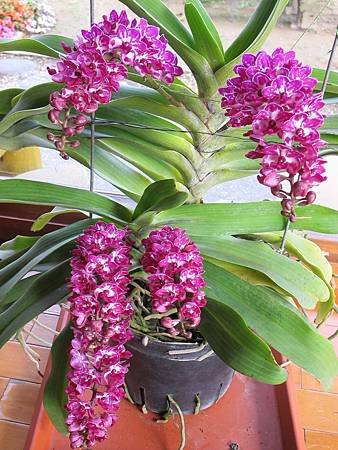 IMG_0977.jpg