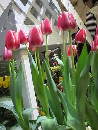 IMG_0536.jpg