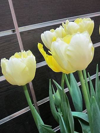 IMG_0535.jpg