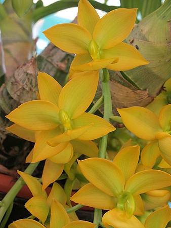 IMG_1100.jpg