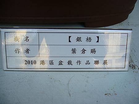 P1020610.JPG