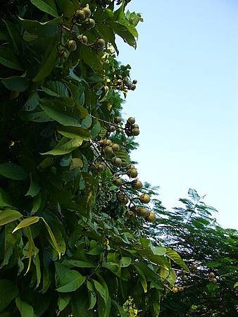 P1010310.JPG