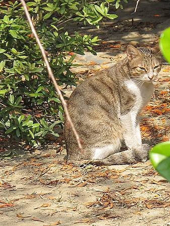 IMG_0499.jpg