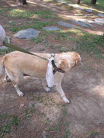 IMG_1203.jpg