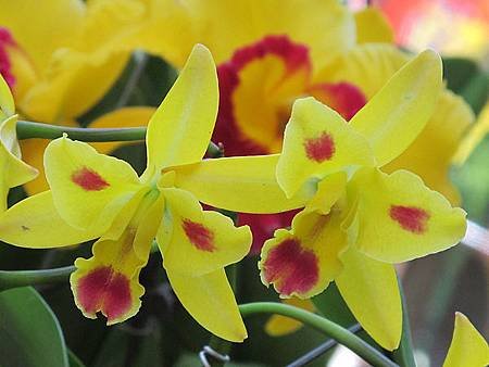 IMG_2553.jpg