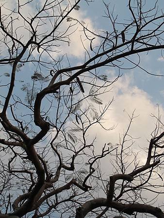 IMG_0557.jpg