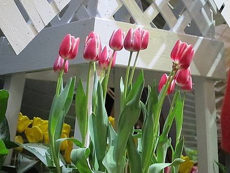 IMG_0579.jpg